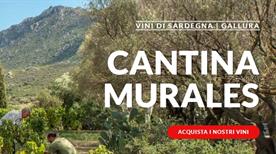 Murales Srl  - >Olbia