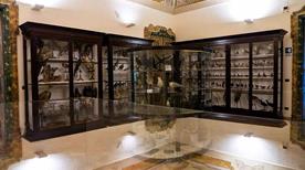 Musei Scientifici - >Fermo