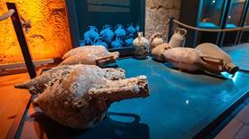 Museo Archeologico A. Santarelli - >Forlì