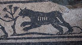 Museo Archeologico - >Cesena