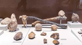 Museo Civico Archeologico - >Marciana