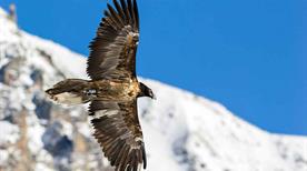Museo Civico di Storia Naturale - >Stazzano