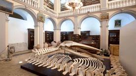 Museo Civico E. Barba - >Gallipoli