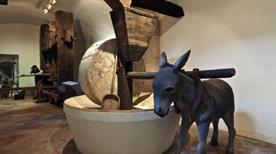 Museo della Civiltà dell' Ulivo - >Trevi