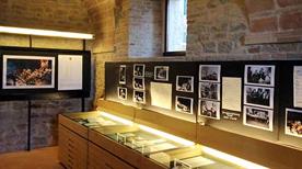 Museo della Mail Art - >Montecarotto