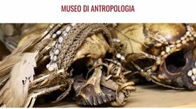 Museo di Antropologia ed Etnografia - >Padova