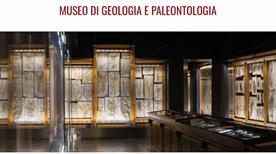 Museo di Geologia e Paleontologia - >Padova