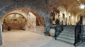 Museo di San Pietro - >Assisi