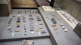 Museo di Storia Naturale e Archeologia - >Montebelluna