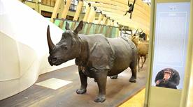 Museo di Zoologia - >Bologne