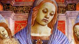 Museo Diocesano - >Massa