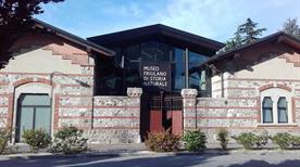 Museo Friulano di Storia Naturale - >Udine