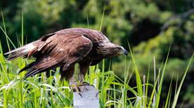 Museo Naturalistico - >Champdepraz
