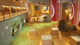 Museo Paleolitico - >Isernia