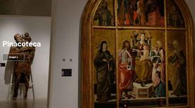 Museo Provinciale Campano - >Capua