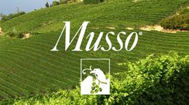 Musso Valter Az.Agr. Musso - >Barbaresco