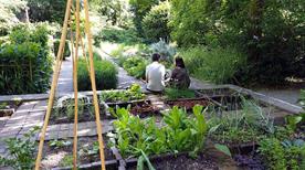 Orto Botanico Milano Brera - >Milan