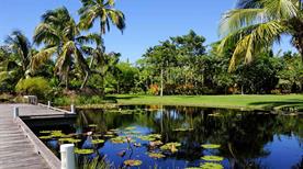 Orto Botanico Napoli - >Naples