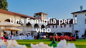 Paladin - Bosco del Merlo - >Annone Veneto