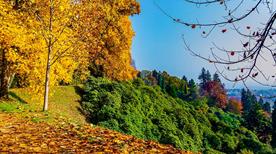 Parco della Burcina - >Biella