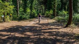 Parco Naturale di Cervia - >Cervia