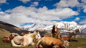 Parco Nazionale dei Monti Sibillini - >Norcia