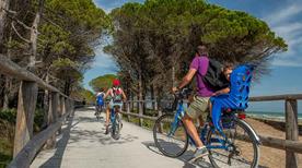 Pineta - >Milano Marittima