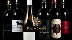 Poggio Grande - >Castiglione d'Orcia