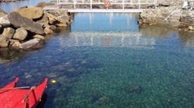 Porticciolo del Chioma - >Castiglioncello