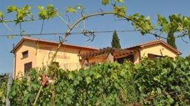 Quercialuce Azienda Vitivinicola - >Riparbella