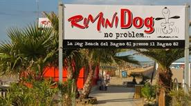 Rimini Dog No Problem - Bagno 81 - >Rimini