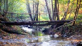 Rio tecci Pallare - >Pallare