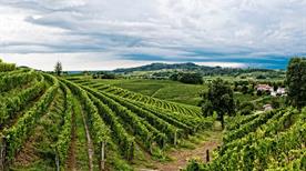 Rodaro Paolo - >Cividale del Friuli