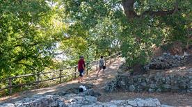 Scavi della città etrusca - >Vetulonia