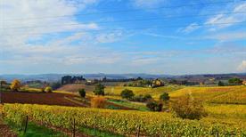 Scorci panoramici sulle colline - >Scandicci
