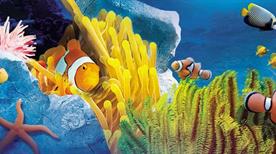 Sea Life Aquarium - >Roma