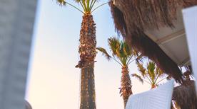 Shada Beach Food Club - >Civitanova Marche