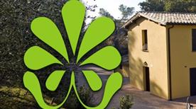 Societa' Agricola Attone - >Bevagna