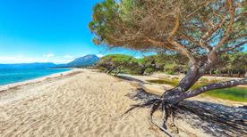 Spiaggia di Osalla - >Orosei