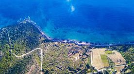 Spiaggia Punta Licosa - >Castellabate