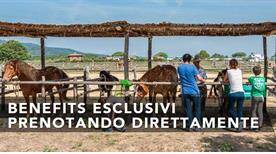 Tenuta Agricola dell'Uccellina - >Magliano in Toscana