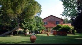 Tenuta Agricola Fonte di Papa - >Roma