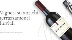 Tenuta Casali - >Mercato Saraceno