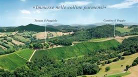 Tenuta Il Poggiolo Srl - >Parme