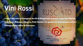 Tenuta Maiano Di Nigi Gianfranco - >Montespertoli