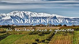 Tenuta Ulisse - >Crecchio