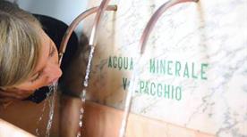 Terme di Vulpacchio - >Contursi Terme