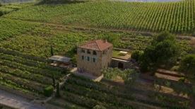 Terre Bianche  - >Dolceacqua
