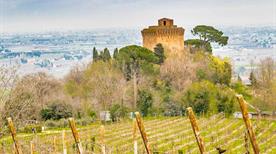 Torre di Oriolo - >Faenza