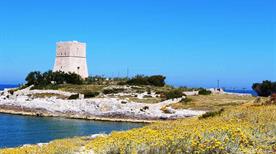 Torre Porticello - >Vieste